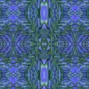 Palm Cobalt