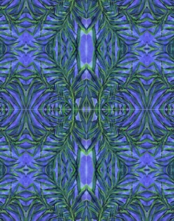 Palm Cobalt