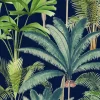 Palmeras, Anthracite