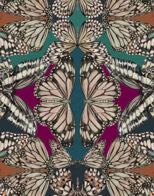 Papilio, Jewel