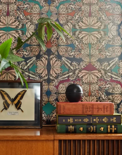 Papilio, Jewel