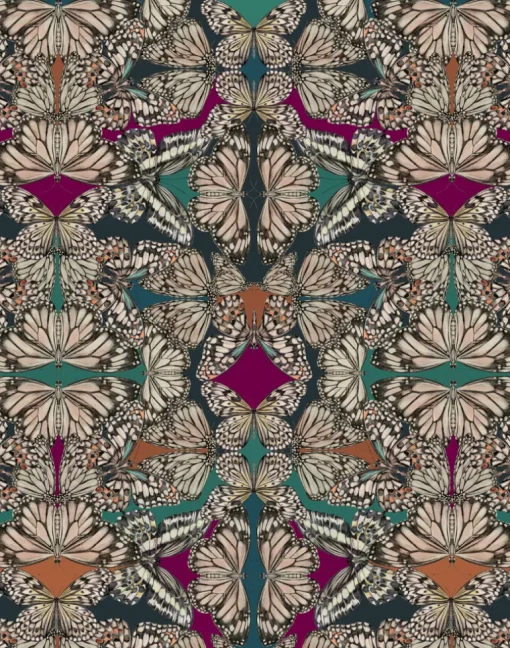 Papilio, Jewel