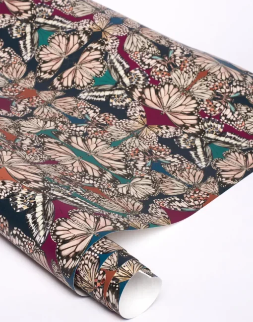 Papilio, Jewel