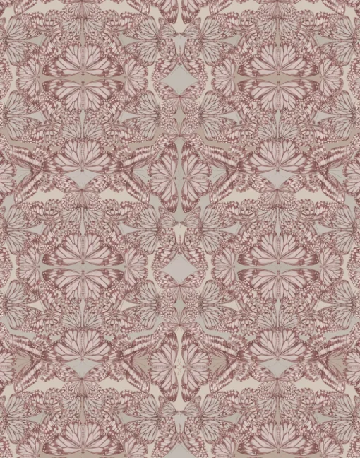 Papilio, Rosa