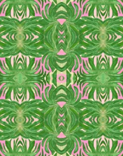 Parakeet Monstera