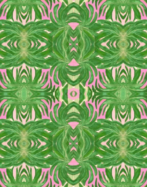 Parakeet Monstera