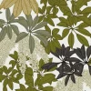 Parasol Leaves, In Sun
