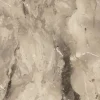 Paria, Taupe
