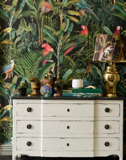 Parrots of Brasil, Anthracite