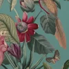 Passiflora Superwide, Vardo