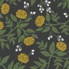 Peonies, Black & Gold RI5151