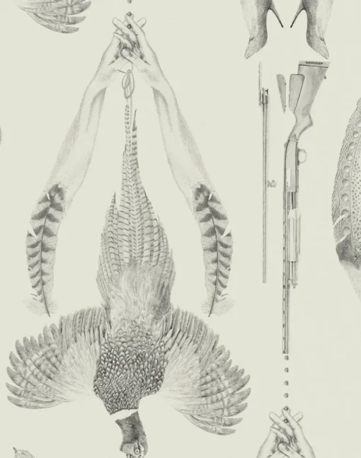 Pheasant, Ground