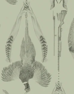 Pheasant, Olive