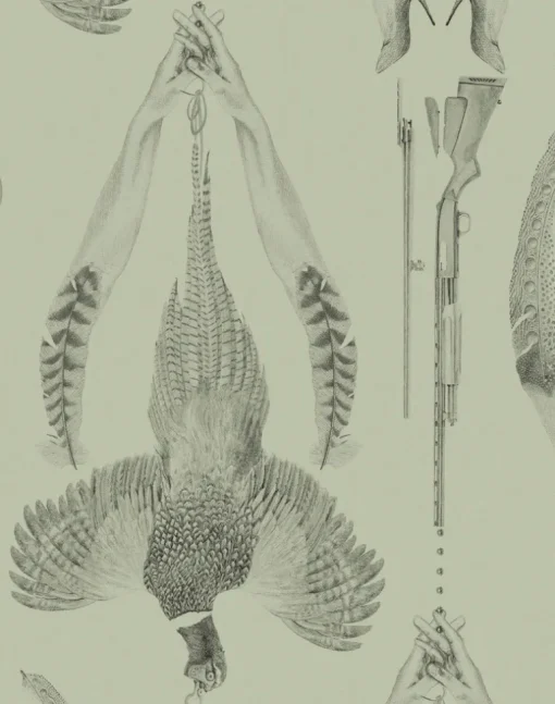 Pheasant, Olive