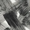 Plato, Monochrome