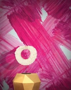 Plato, Pink