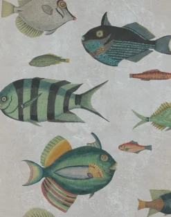 Poissons, Grey