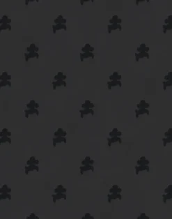 Poochi, Toto Black