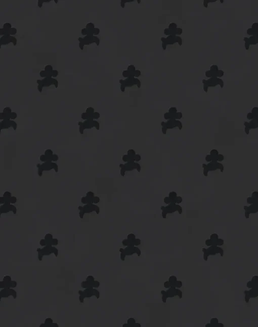 Poochi, Toto Black
