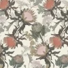 Proteas' Dream, Cream