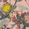 Proteas' Dream, Pink