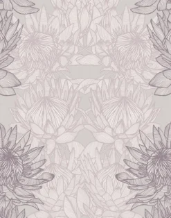 Regal Protea, Ash