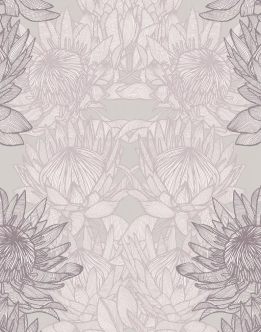 Regal Protea, Ash