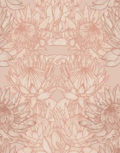 Regal Protea, Tribe