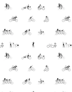 Ride MFL13