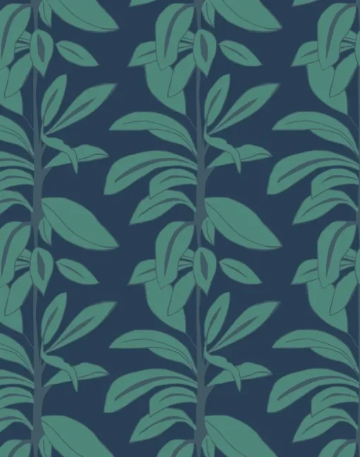 Rubber Plant, Leaves at Midnight