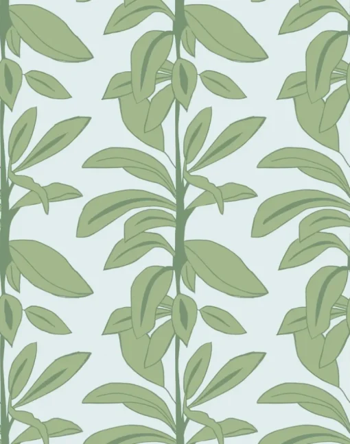 Rubber Plant, Rubber Blue