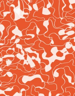 Samba, Orange Coral