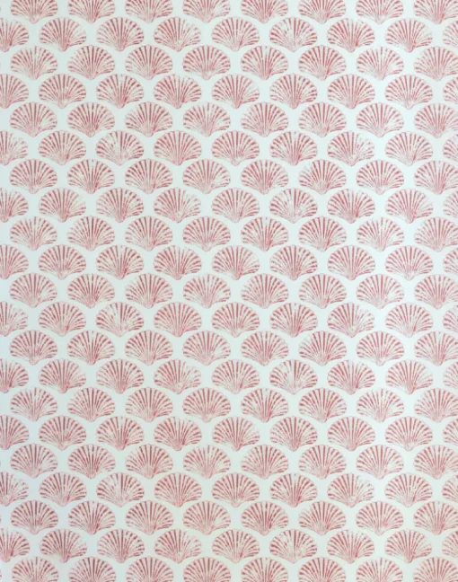 Scallop Shell, Red