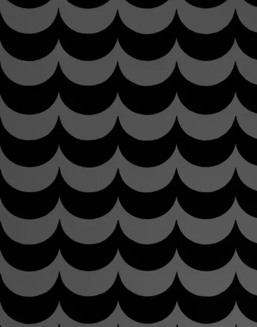 Scoop, Black Flock