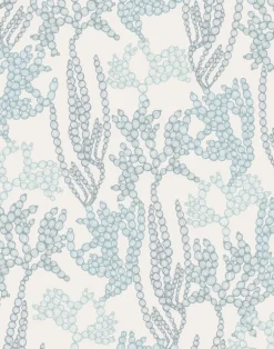 Sea Beads, Bay