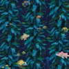 Sea Kelp, Aqua