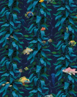Sea Kelp, Aqua