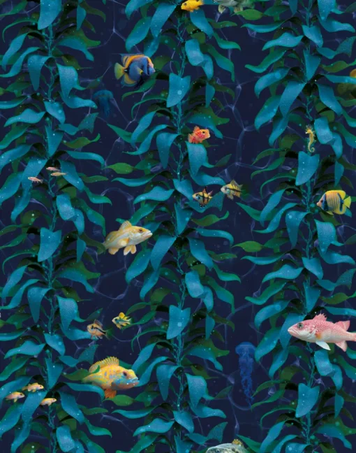 Sea Kelp, Aqua