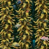 Sea Kelp, Mustard
