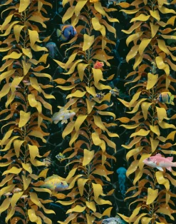 Sea Kelp, Mustard