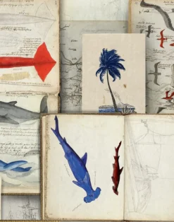 Seamans Journal