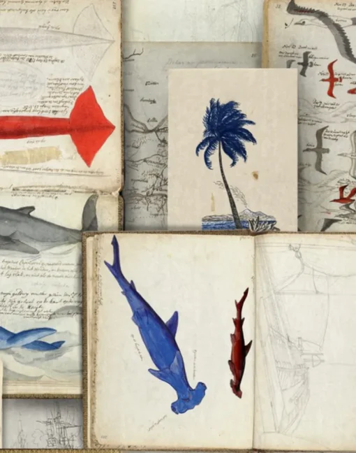 Seamans Journal