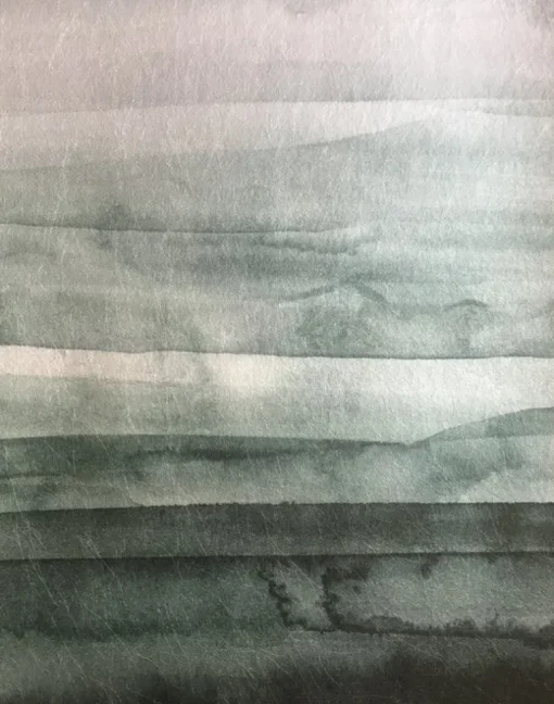 Sediment, Forest