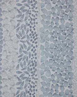 Shells, Ocean