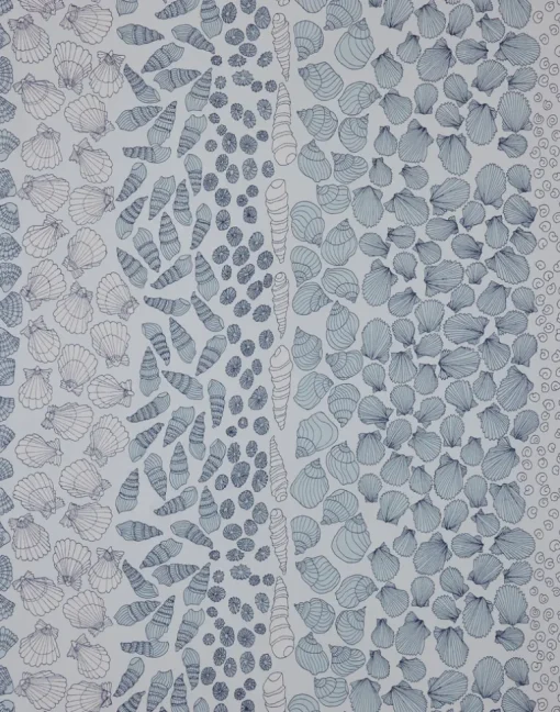 Shells, Ocean