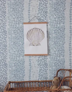 Shells, Ocean