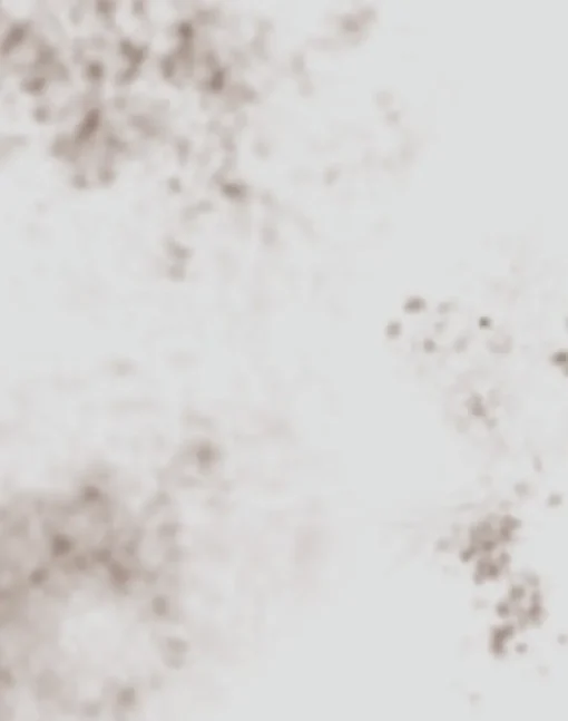 Smudges in Mauve