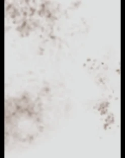 Smudges in Mauve