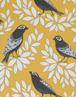 Songbird, Summer