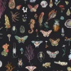 Specimens, Black